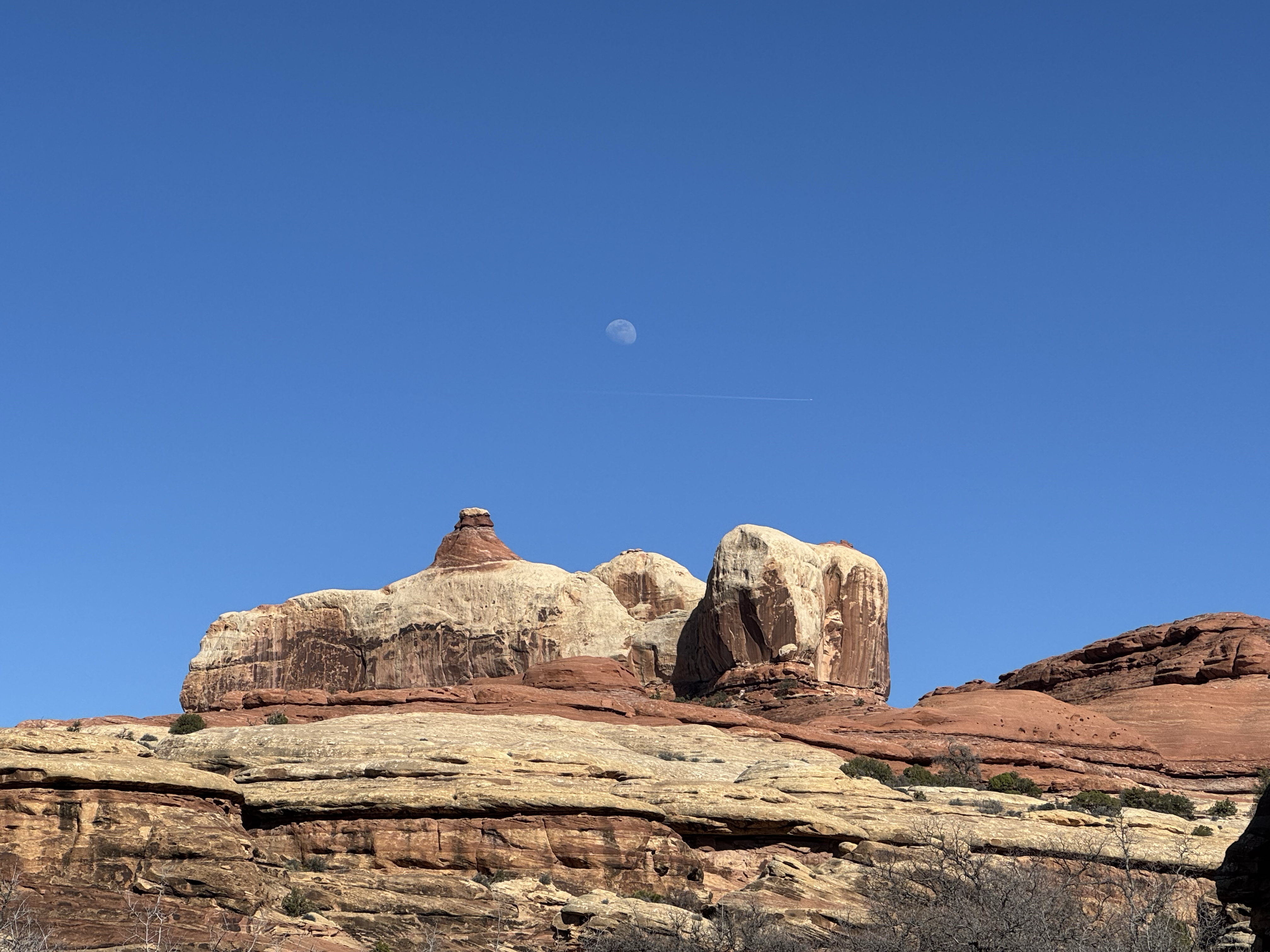 Canyonlands at night