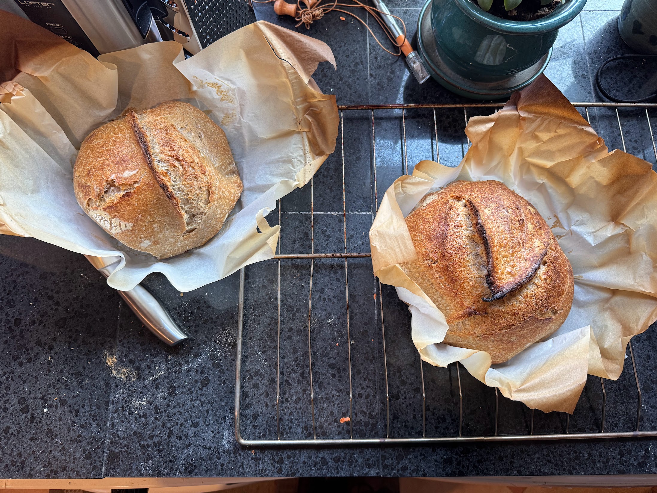 two loaves i made of sourdough bread